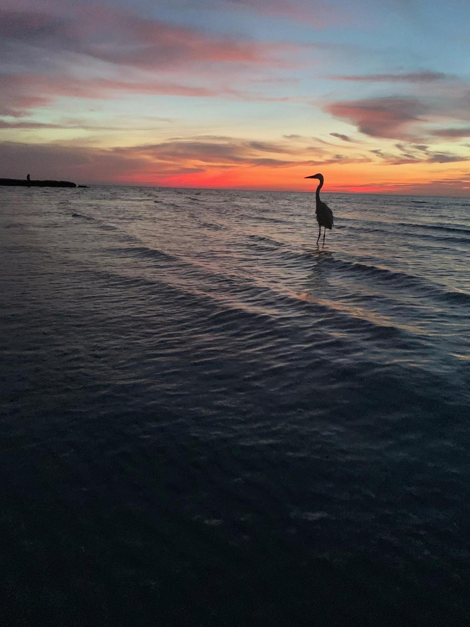 Bed and Breakfast Casa Noma-Noma Holbox Экстерьер фото